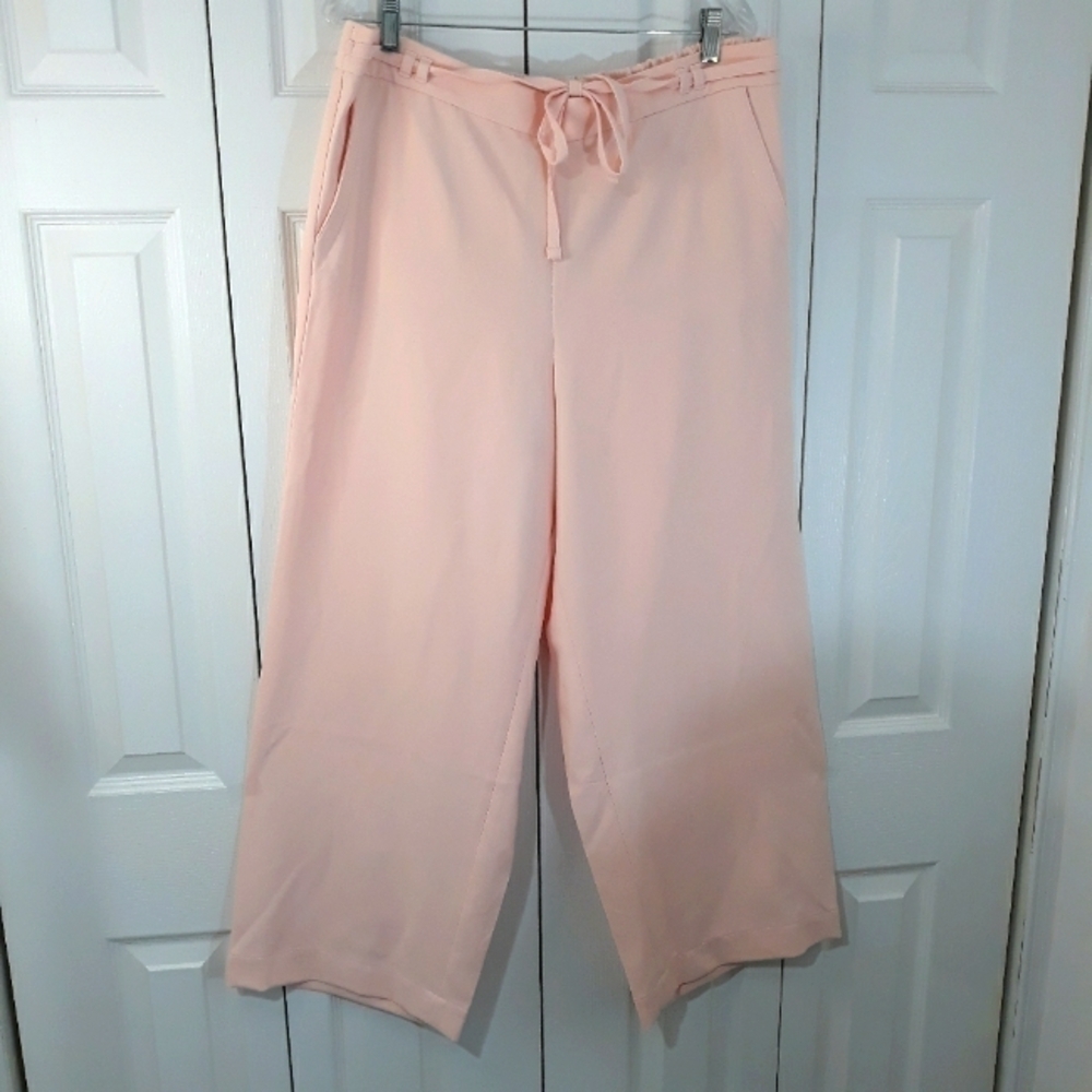 Talbots Pants Pull-On  High Rise Pink Size XL New with Tag